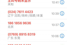 昭阳贷款清欠服务